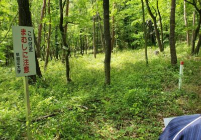 自然に囲まれた早大本庄学院。通学路には「まむしに注意」の看板が