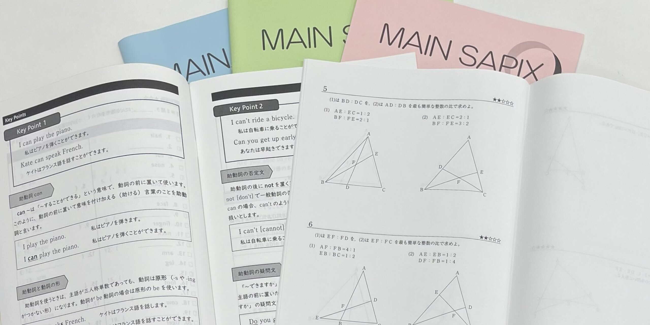 カリキュラム - SAPIX中学部 | 高校受験もサピックス（小5～中3）