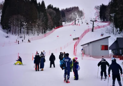 「日本の湯沢温泉で行われたアルペンスキー学生大会での1枚。コース内にある旗門と呼ばれる赤や青の旗の間を通ってタイムを競うスポーツです」